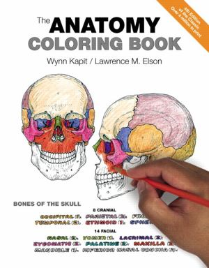 Anatomy Coloring Book (SKU 1001098324)