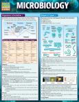 Microbiology Qs